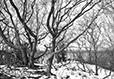 Against the Elements 9